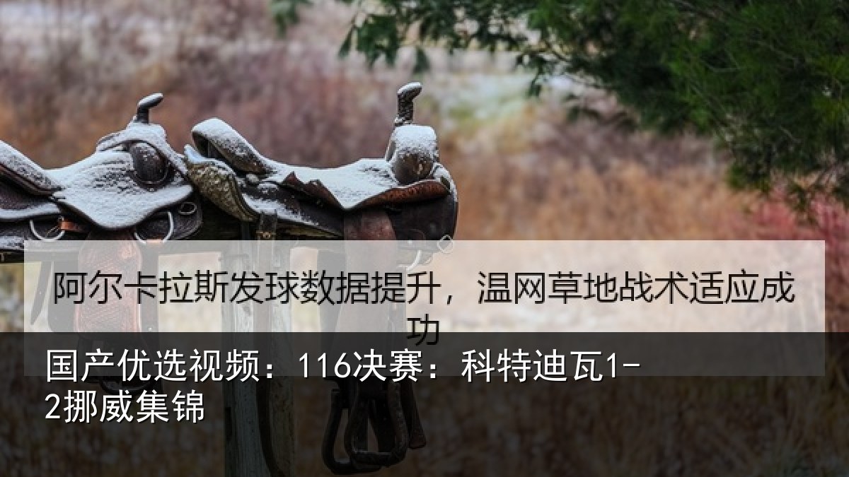国产优选视频:116决赛:科特迪瓦1-2挪威集锦