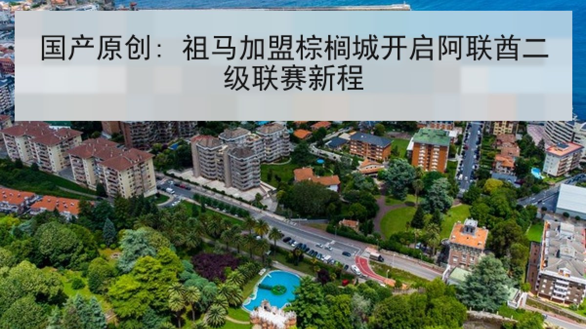 国产原创: 祖马加盟棕榈城开启阿联酋二级联赛新程