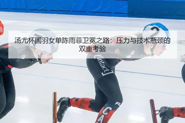 tang-you-bei-guo-yu-nv-dan-chen-yu-fei-wei-mian-zhi-lu-ya-li-yu-ji-shu-ping-jing-de-shuang-chong-kao-yan-2-408.jpg