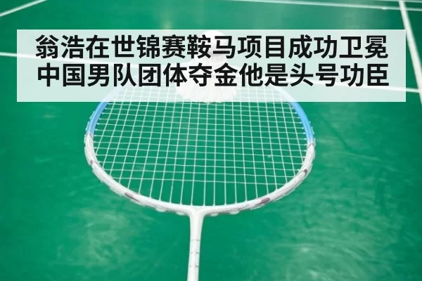 翁浩在世锦赛鞍马项目成功卫冕 中国男队团体夺金他是头号功臣